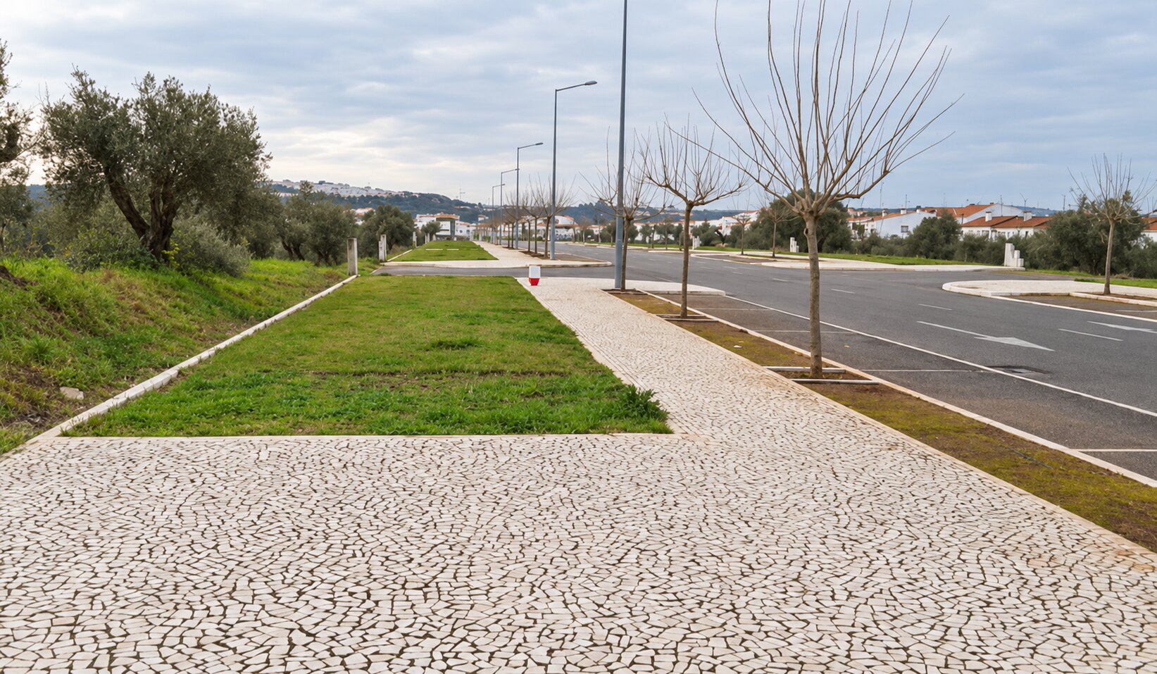 Land frontage beside the paved road in Vila Viçosa