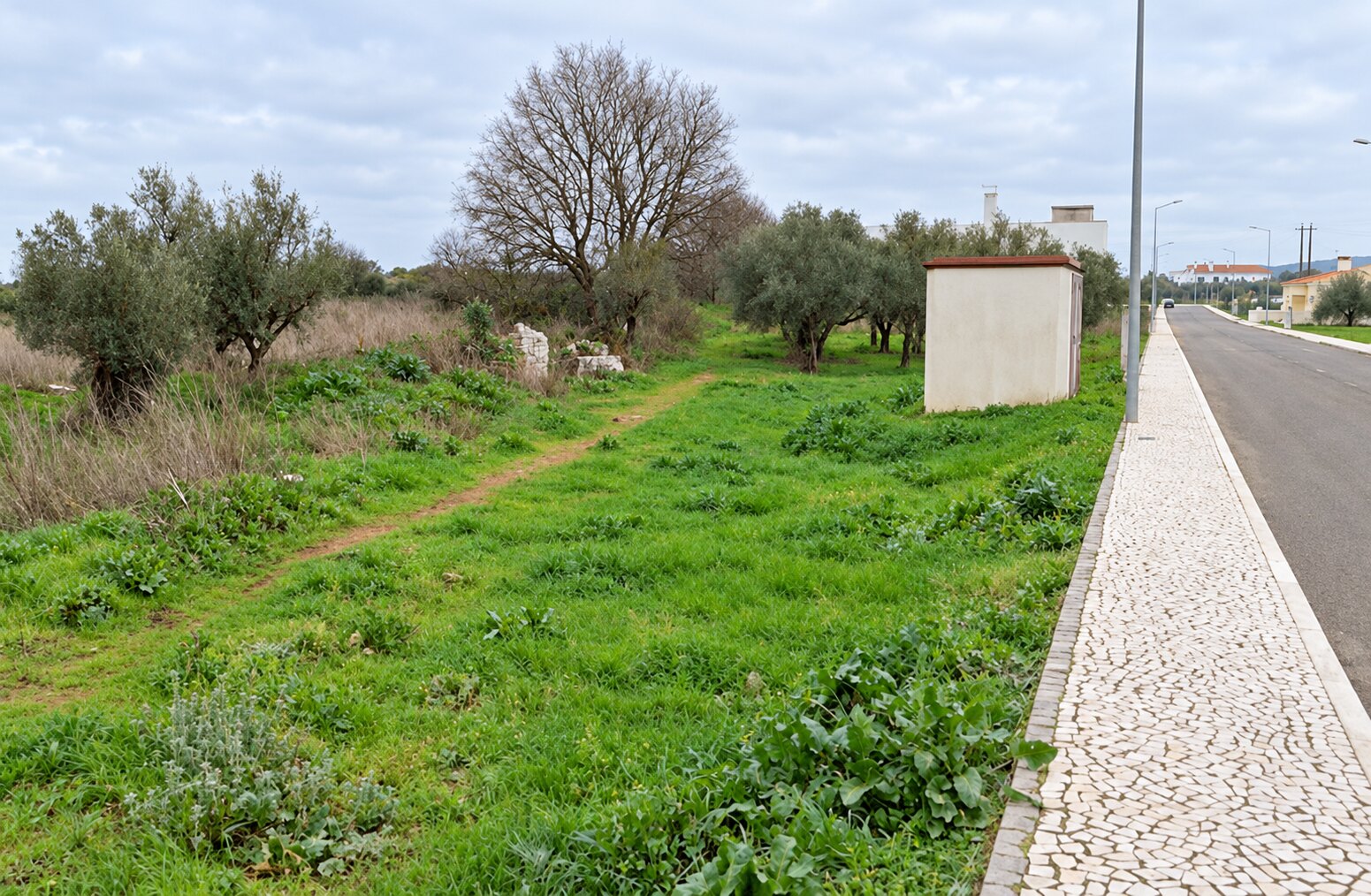 View of the land beside the pavement and road